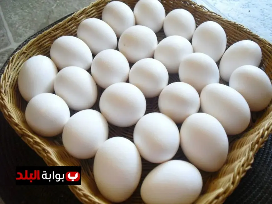 شعبة المواد الغذائية تكشف عن تراجع سعر البيض ووصوله إلى 100 جنيه