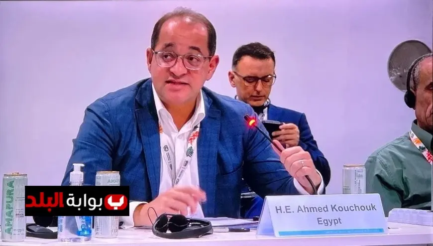 وزير المالية يدعو لتعزيز دور المؤسسات الدولية في تمويل المشروعات الخضراء بالدول النامية