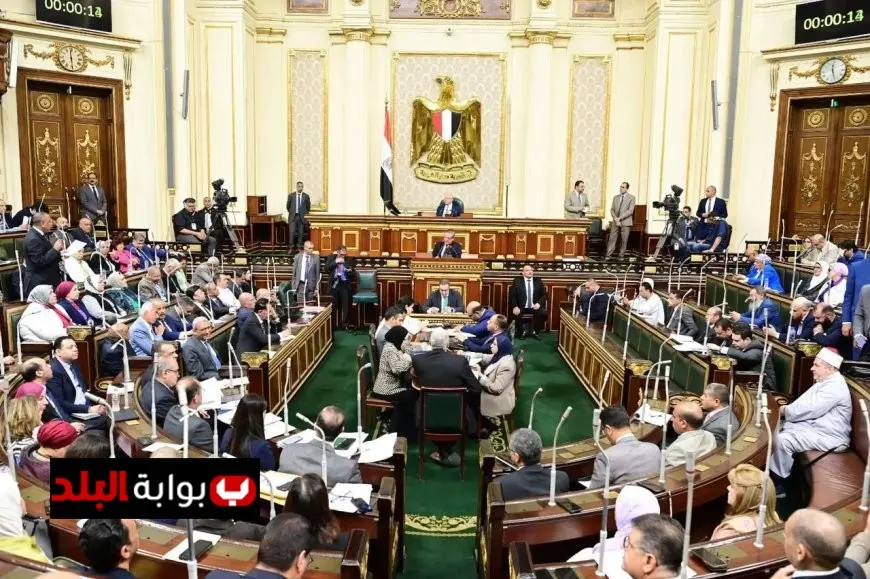 إعادة الانتخابات بين أربعة مرشحين في الدائرة الثانية بإطسا في محافظة الفيوم