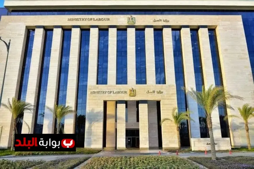 وزارة العمل المصرية تحث المصريين في لبنان على اغتنام فرصة تسوية أوضاع الإقامة والعمل