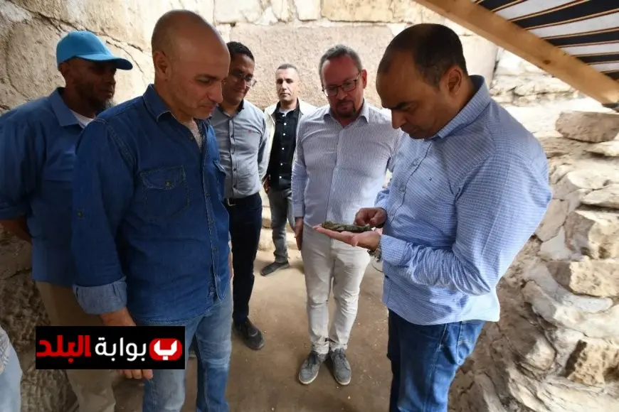 اكتشاف أثري مذهل في الشرقية 225 تمثالًا من الأوشابتي تعود للملك شوشنق الثالث في صان الحجر