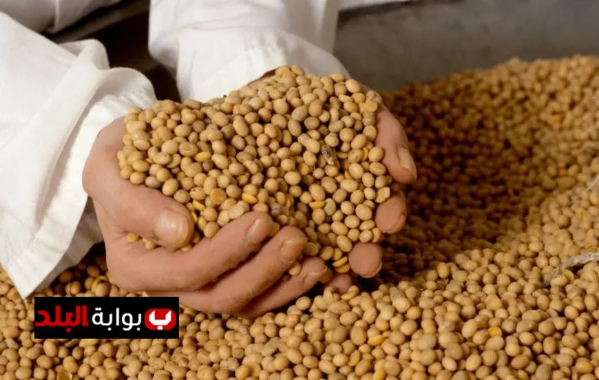 الصين توقف استيراد فول الصويا الأمريكي للشهر الثاني على التوالي