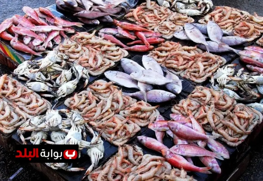 أسعار الأسماك اليوم في سوق العبور الجمعة 21 نوفمبر 2025 تعرف عليها الآن