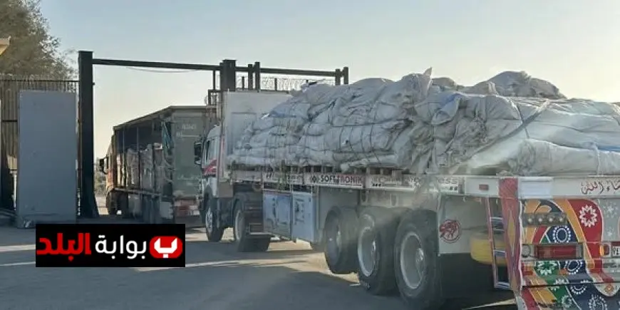 الهلال الأحمر المصري يرسل أكثر من 11 ألف طن من المساعدات الغذائية والطبية والشتوية إلى غزة عبر قافلة زاد العزة الـ 79