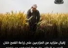 الزراعة تؤكد زيادة إقبال المزارعين على زراعة القمح في الموسم الحالي وتنفى عزوفهم