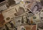 سعر الدولار مقابل العملات الأخرى اليوم الأحد تحديثات هامة في بداية الأسبوع