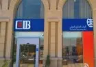 فرص عمل مميزة لحديثي التخرج في بنك CIB الشروط المطلوبة وطرق التقديم