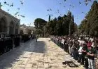 آلاف المصلين يتجمعون لأداء صلاة الجمعة في الأقصى والاحتلال يعتقل حارسه