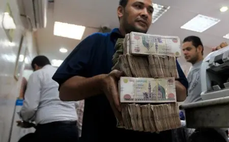 مالية تعلن عن موعد صرف مرتبات الموظفين لشهر ديسمبر 2025