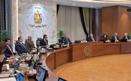 مجلس الوزراء يناقش إنجازات الرعاية الصحية بين يناير ويونيو 2025