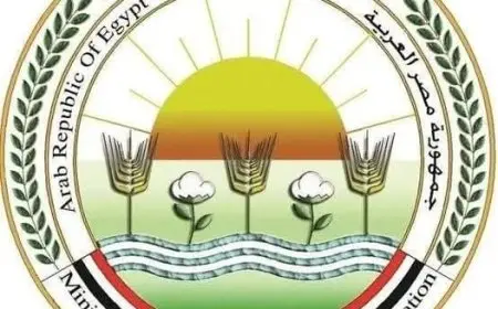 الكيلو بجنيه إغلاق محل دواجن بالجيزة بسبب ضبط كميات كبيرة غير صالحة للاستهلاك