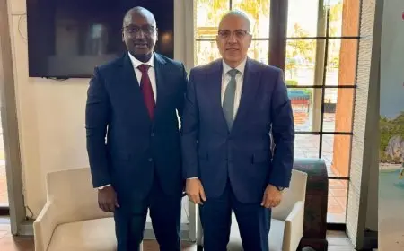 سويلم يتباحث مع وزير المياه السنغالي خلال الكونجرس العالمي التاسع عشر للمياه