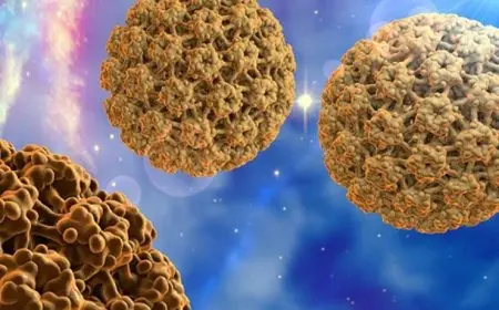 فيروس ماربورج يجتاح العالم طرق انتقاله في مصر ووسائل الوقاية الفعالة