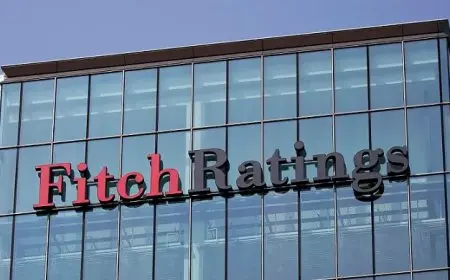 الجنيه يرتفع أمام الدولار وتوقعات إيجابية من وكالة فيتش حول انخفاض الفائدة في الاقتصاد المصري