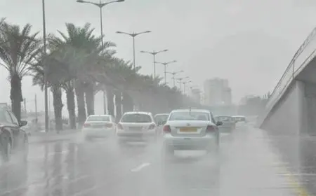 الأرصاد الجوية تحذر من أمطار رعدية قوية تضرب القاهرة الكبرى والوجه البحري خلال الساعات القادمة