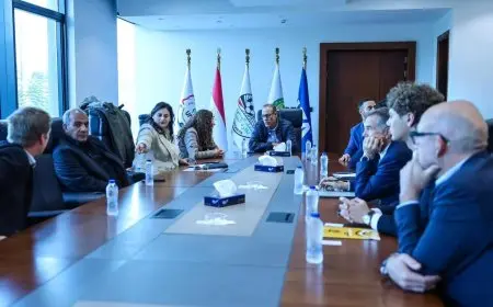 اتحاد الكرة يتعاون مع وفد فرنسي لتطبيق تقنية الفيديو الجديدة في المباريات