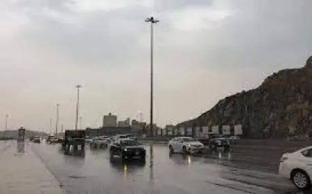 الأرصاد الجوية تنبه من انخفاض حاد في درجات الحرارة غدًا الأربعاء إلى درجة واحدة فقط