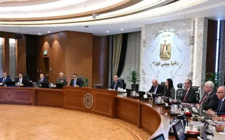 مجلس الوزراء يعتمد استكمال خطوات طرح محطات توليد الكهرباء في جبل الزيت