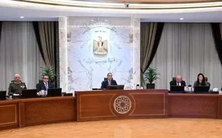 مجلس الوزراء يوافق على مواصلة إجراءات طرح محطات توليد الكهرباء في جبل الزيت