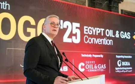 مصر تحقق استقرار إنتاج الغاز بفضل الشراكات الناجحة مع الشركات النفطية