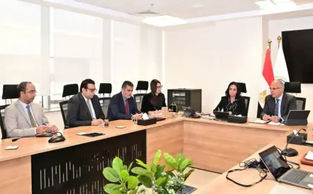 وزيرا الري والتضامن يطرحان خطة لاستغلال نبات ورد النيل في تصنيع منتجات يدوية فريدة