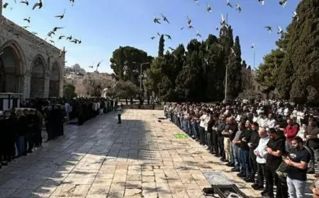 آلاف المصلين يتجمعون لأداء صلاة الجمعة في الأقصى والاحتلال يعتقل حارسه