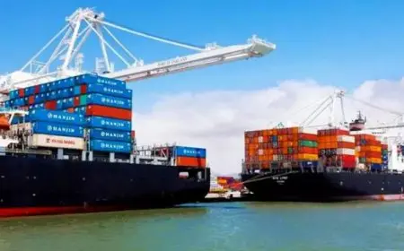 صادرات مصر الزراعية ترتفع إلى 8.8 مليون طن مع زيادة ضخمة قدرها 750 ألف طن مقارنة بالعام الماضي