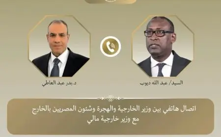 وزير الخارجية المصري يعبر عن دعم مصر القوي لحكومة مالي في مواجهة التهديدات الإرهابية