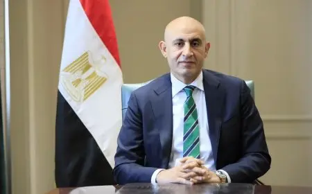 التعليم تُكلف لجنة متخصصة لإدارة مدارس النيل المصرية الدولية