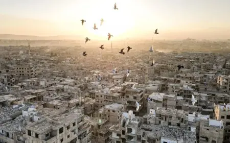 أحمد موسى يكشف عن تحول سوريا إلى قاعدة للميليشيات الإرهابية ويحدد حاجة البلاد إلى 500 مليار دولار لإعادة الإعمار