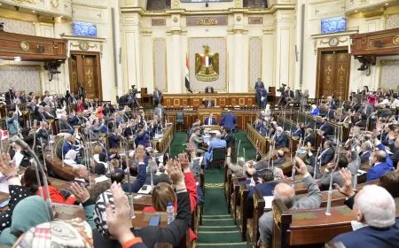 جولة الإعادة للمرحلة الثانية من انتخابات النواب تشمل تفاصيل مثيرة بعد انطلاقها في الخارج