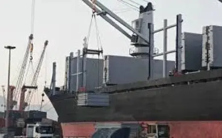 وزارة قطاع الأعمال تحقق إنجازاً بتصدير أول شحنة من الفحم البترولي المكلسن بعد عودة تشغيل مصنع الأنود