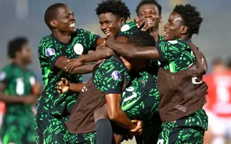 نيجيريا تصل القاهرة بقائمة ناقصة قبل المباراة الودية ضد مصر