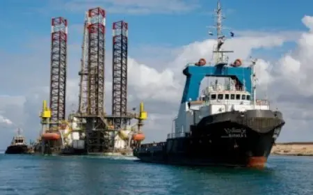 طريقة تسجيل استمارة امتحانات الإعدادية إلكترونياً بخطوات سهلة وفعالة