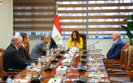 وزيرة التنمية المحلية تلتقي بأعضاء لجنة الطاقة والبيئة والقوى العاملة بمجلس الشيوخ لتعزيز التعاون الفعال