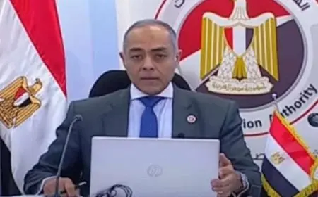 الهيئة الوطنية للانتخابات تبدأ فرز الأصوات في 31 لجنة بالخارج بجولة الإعادة للمرحلة الثانية من الانتخابات