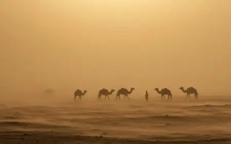 الأرصاد الجوية تحذر من طقس بارد صباحًا ومعتدل نهارًا مع توقعات بأمطار ورياح نشطة