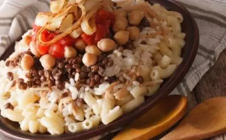 إدراج الكشري في اليونسكو يحذر من خطر اندثار التراث غير المادي دون توثيق فعّال