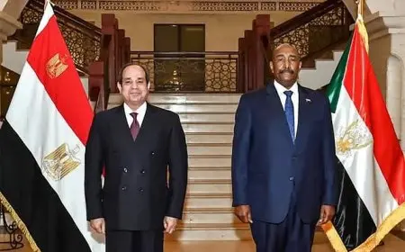 لقاء الرئيس السيسي ورئيس مجلس السيادة السوداني يسلط الضوء على العلاقات الثنائية والتعاون المشترك