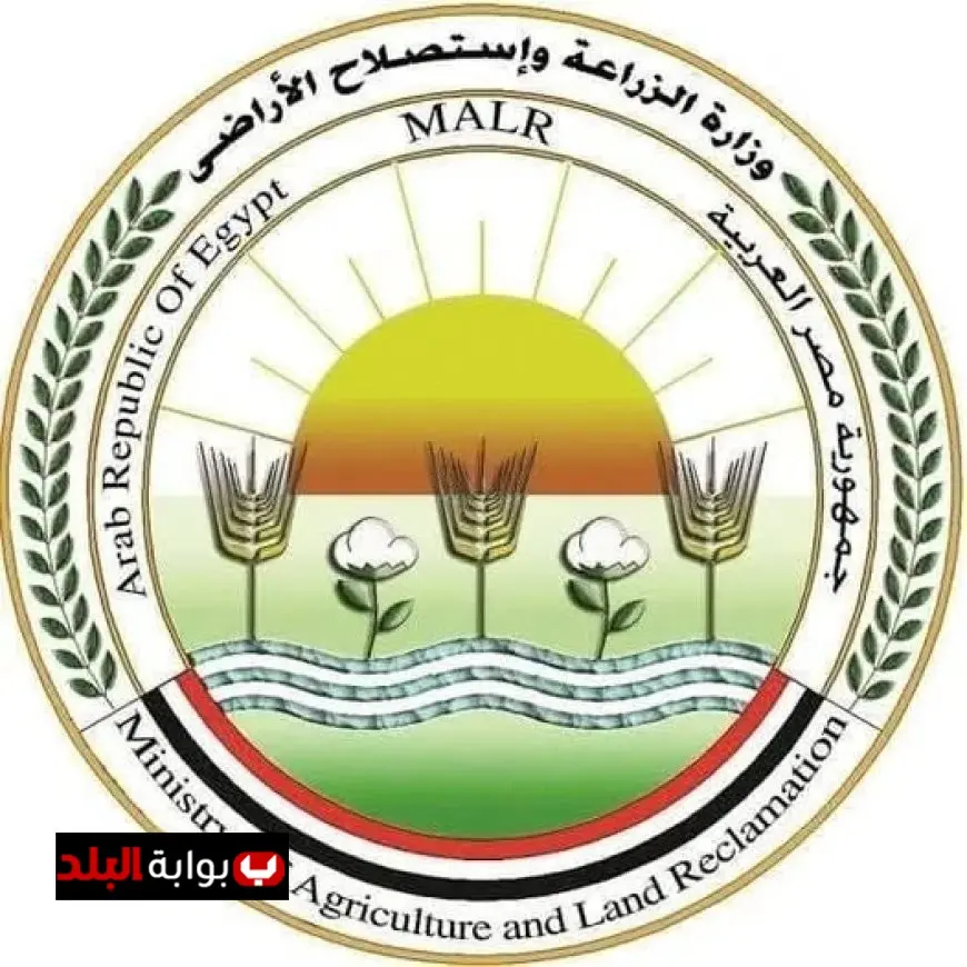 الكيلو بجنيه إغلاق محل دواجن بالجيزة بسبب ضبط كميات كبيرة غير صالحة للاستهلاك