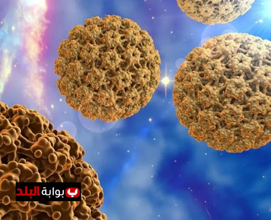 فيروس ماربورج يجتاح العالم طرق انتقاله في مصر ووسائل الوقاية الفعالة