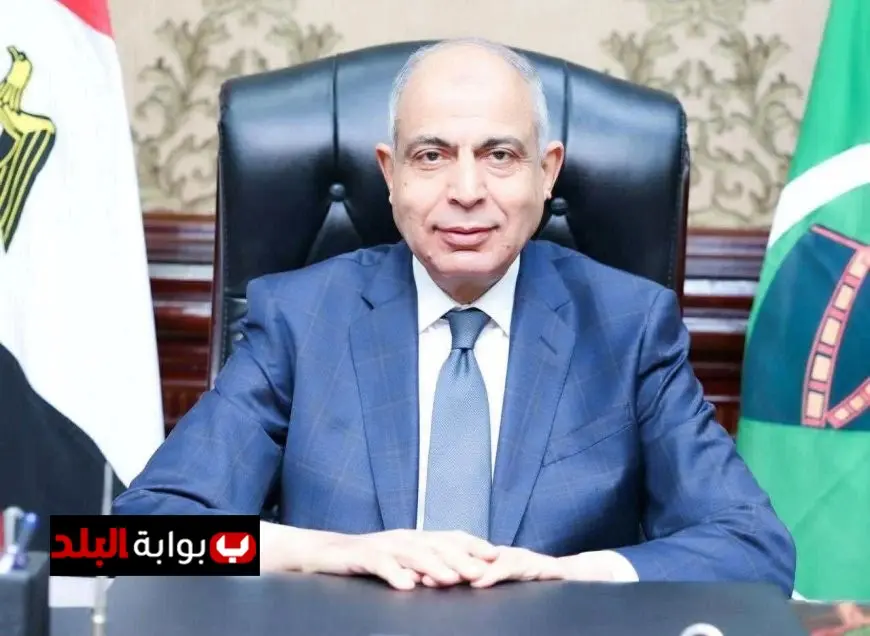 محافظ المنيا يعلن عن استعداد 489 لجنة لاستقبال أكثر من 3 ملايين ناخب في خمس دوائر انتخابية