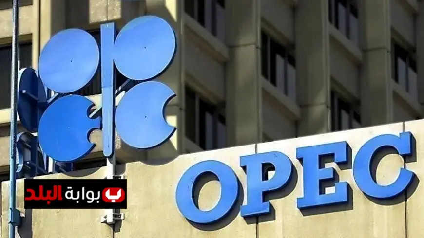 أوبك تثبت توقعاتها لزيادة الطلب العالمي على النفط في 2025 و2026