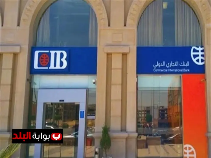 فرص عمل مميزة لحديثي التخرج في بنك CIB الشروط المطلوبة وطرق التقديم