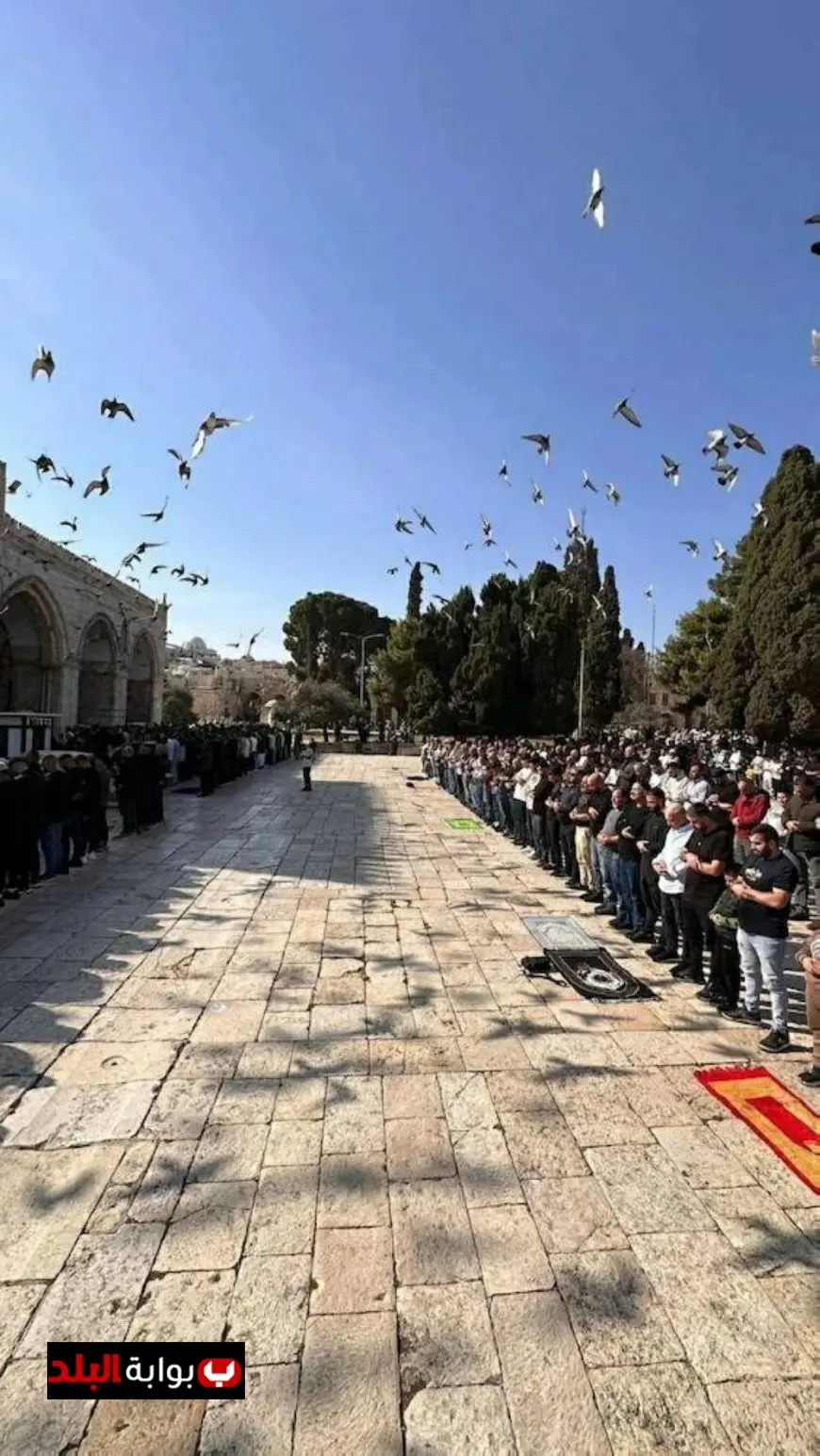 آلاف المصلين يتجمعون لأداء صلاة الجمعة في الأقصى والاحتلال يعتقل حارسه