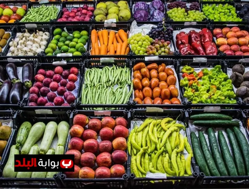 ارتفاع أسعار الخضروات والفاكهة اليوم الأحد بدءًا من 12 جنيهًا للكوسة