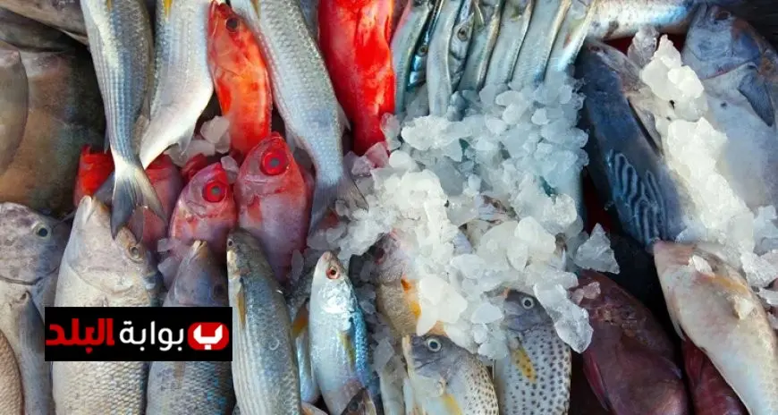 أسعار الأسماك في سوق العبور الأحد 14 ديسمبر 2025 تعرف على التحديثات والمستجدات