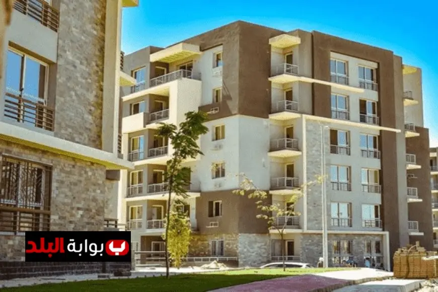 وزير المالية يكشف عن توقعات بإلغاء الضريبة العقارية وزيادة حد الإعفاء للسكن الخاص إلى ٤ ملايين جنيه في أوقات الأزمات