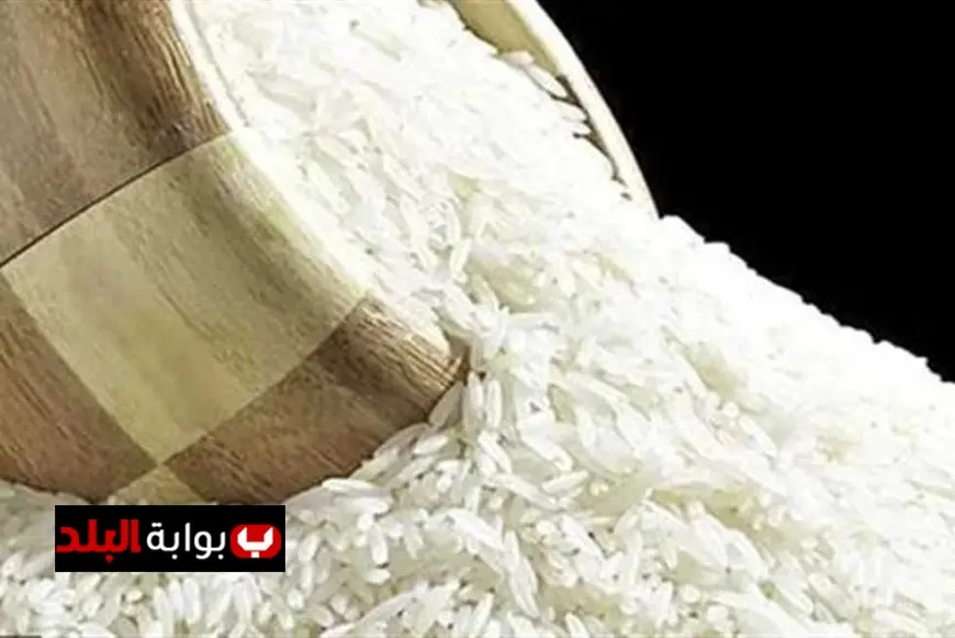 زيادة نصيب الفرد من الأرز بنسبة 36.6% في 2024 نتيجة ارتفاع الإنتاج بحسب الإحصاء