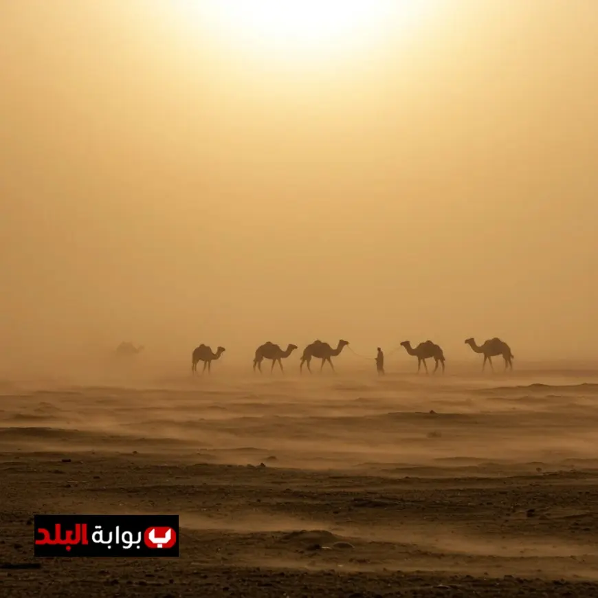 الأرصاد الجوية تحذر من طقس بارد صباحًا ومعتدل نهارًا مع توقعات بأمطار ورياح نشطة